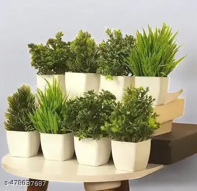 Artificial Plant For Home Decor or Office Décor