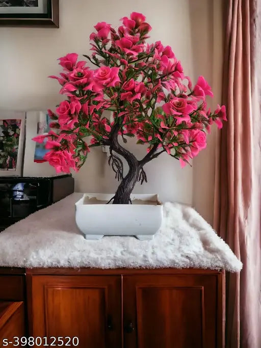 Plants pot for home office decoration